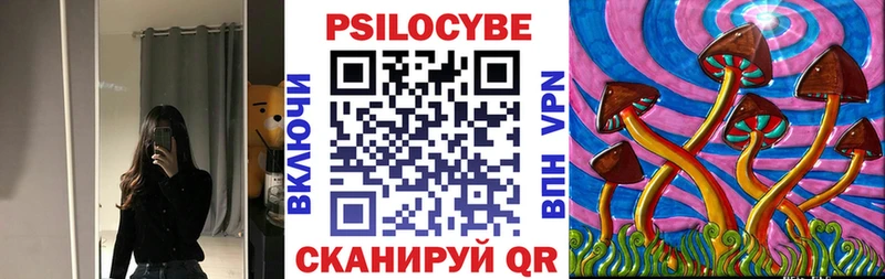 Псилоцибиновые грибы Psilocybine cubensis  гидра ТОР  мориарти как зайти  Баксан 